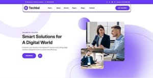 IT解决方案与商业网站HTML5模板-妖管局